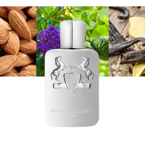Marly Pegasus 125ml