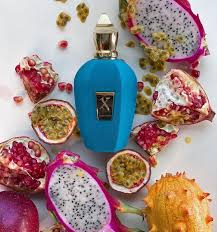 Xerjoff Erba Pura 100ml