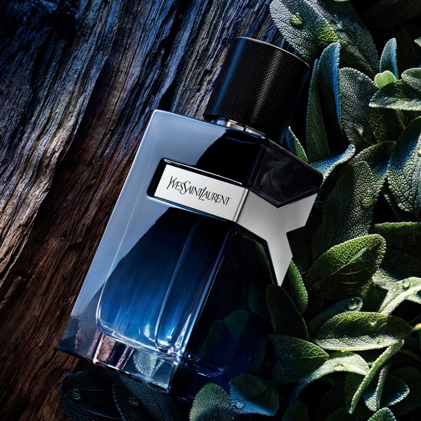 YSL Eau De Parfum 100ml